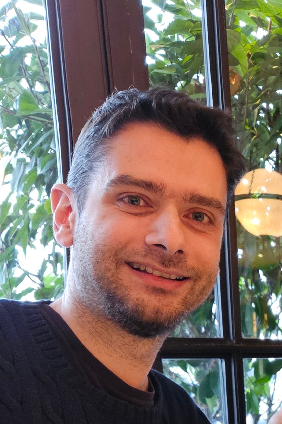 Stavros Petridis